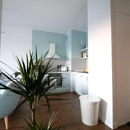 Apartment Piekny Artystyczny
